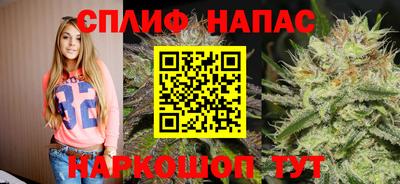 СК Заводоуковск