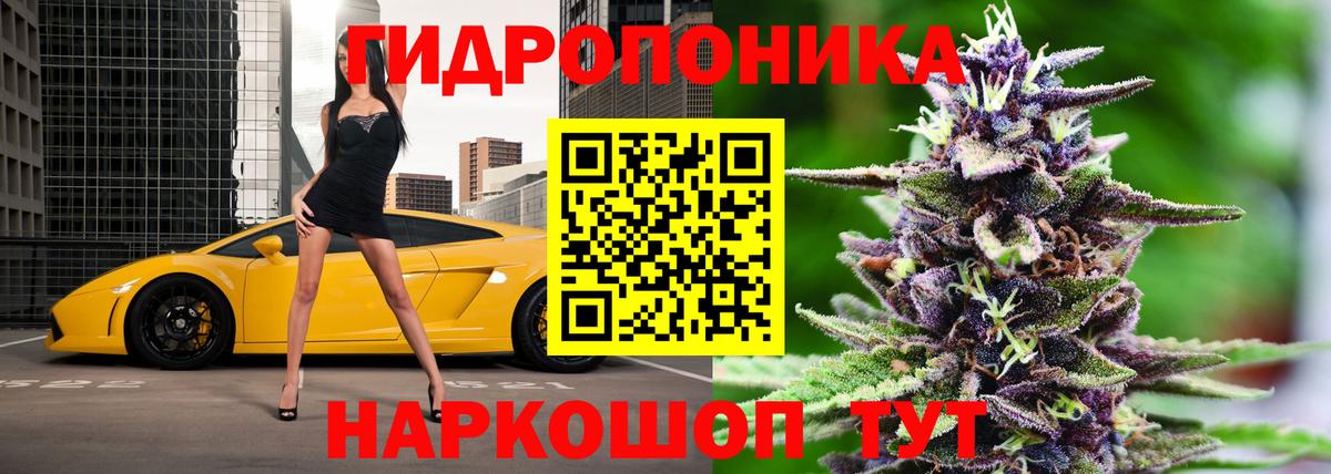 Бошки Шишки семена  Бошки Шишки семена  Вход с VPN  Людиново  Бошки Шишки SATIVA & INDICA 